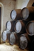 Jerez de la Frontera, Sherry bodega